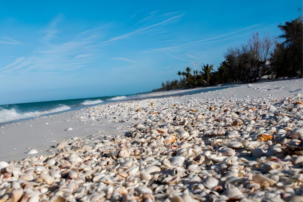 Enjoy Walks on the Beach
