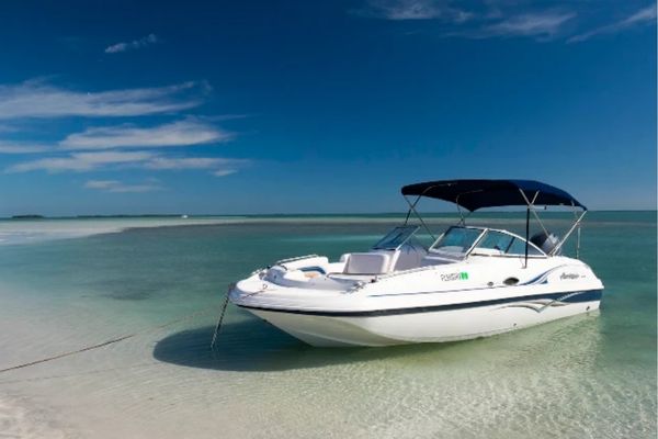 Dolphin Cove Boat Rental 2