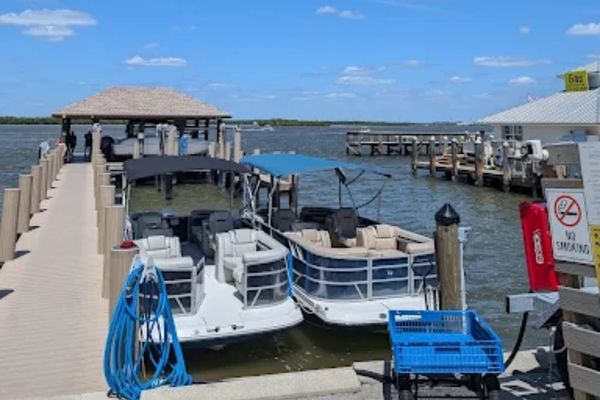 Dolphin Cover Boat 3