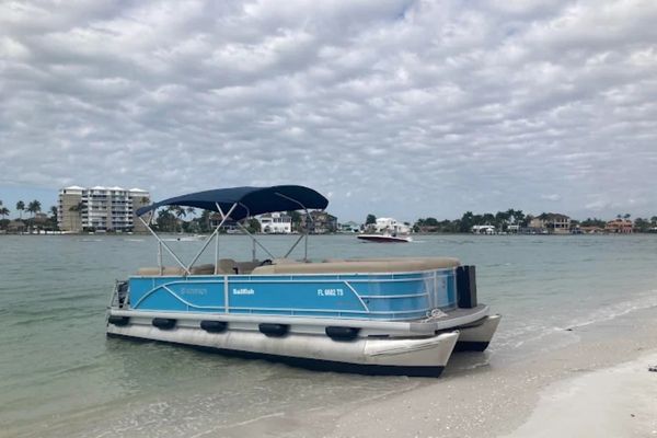 Dolphin Cove Boat 4