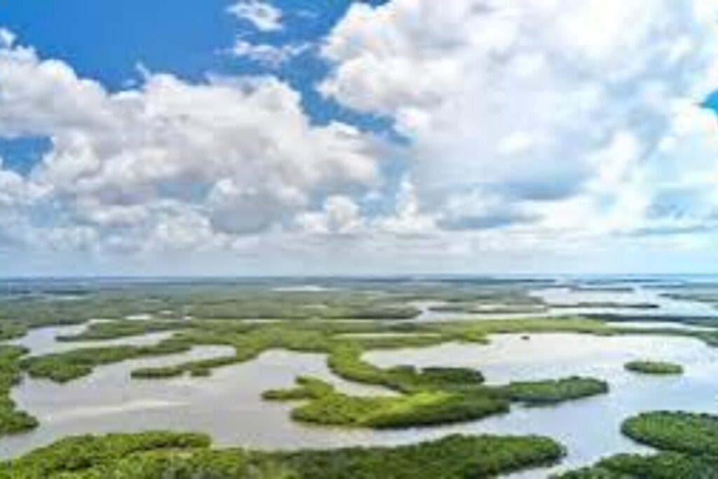ten thousand islands near keewaydin florida and keelaie residence